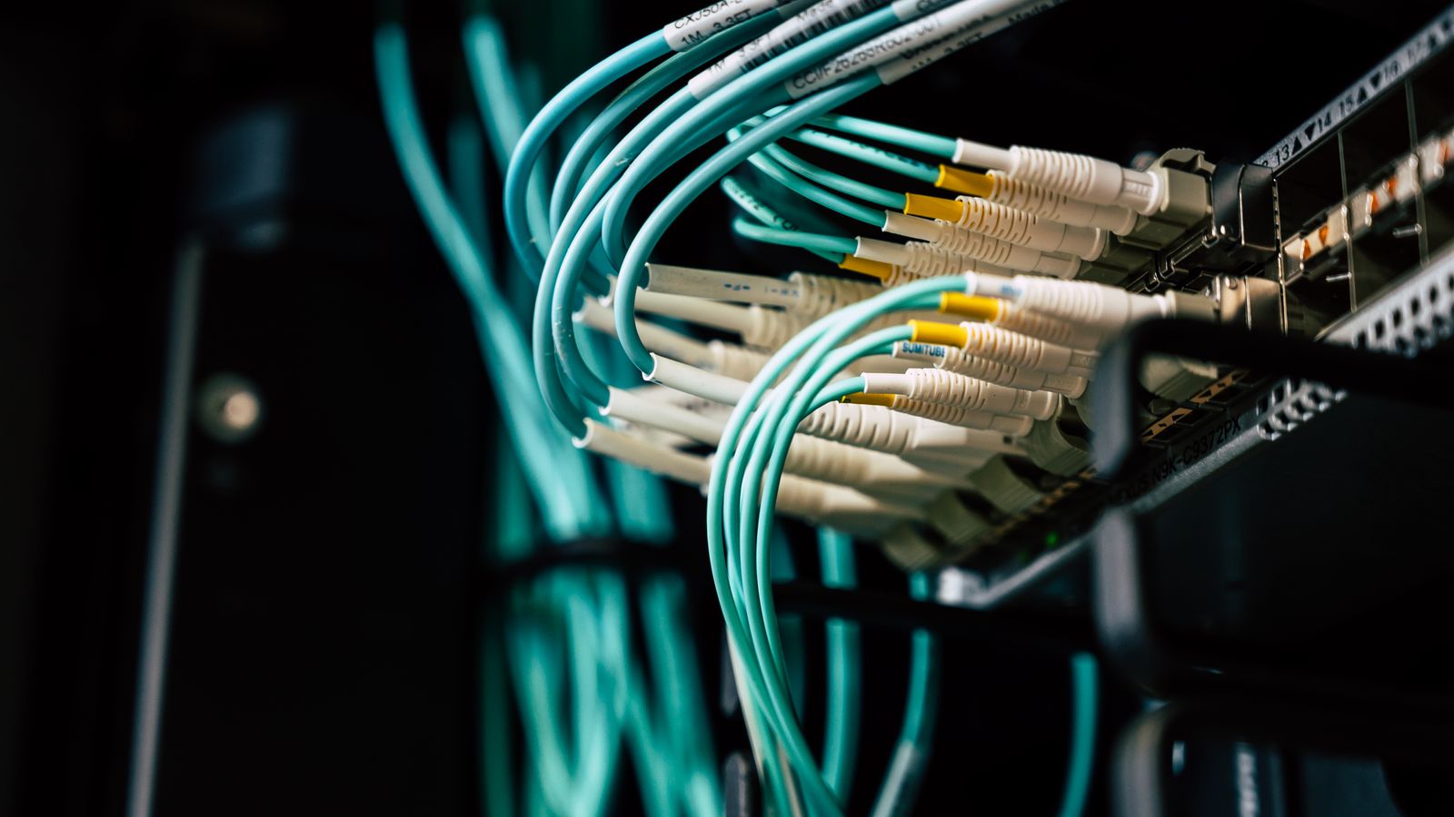 Fiber network cables connected to server equipment